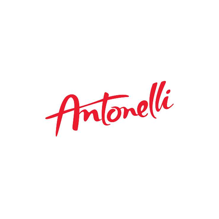 Antonelli Group Srl логотип